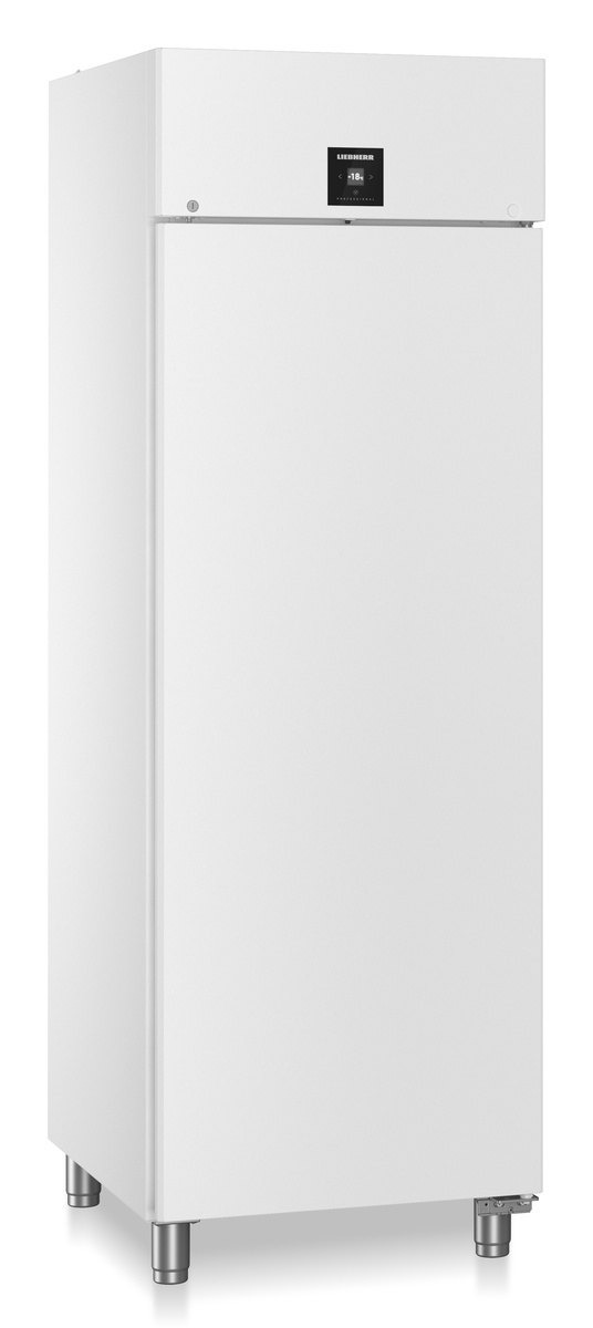 Profesionálna pekárenská mraznička (pre EN plechy) s obehovým vzduchovým chladením BFPvg 6501-40