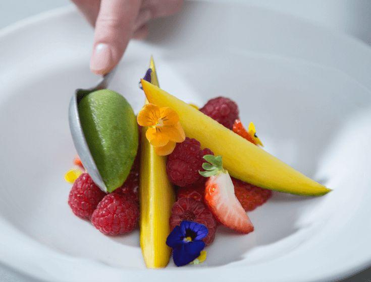 Profesionálný emulzifikátor a procesor Rowzer Plus